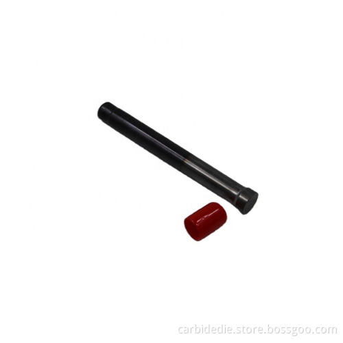 Stainless Steel Punch Pin Die Coated